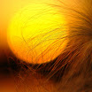 DSC06018fshv.jpg