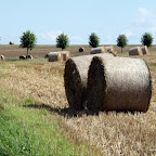 20100824_019_small.JPG