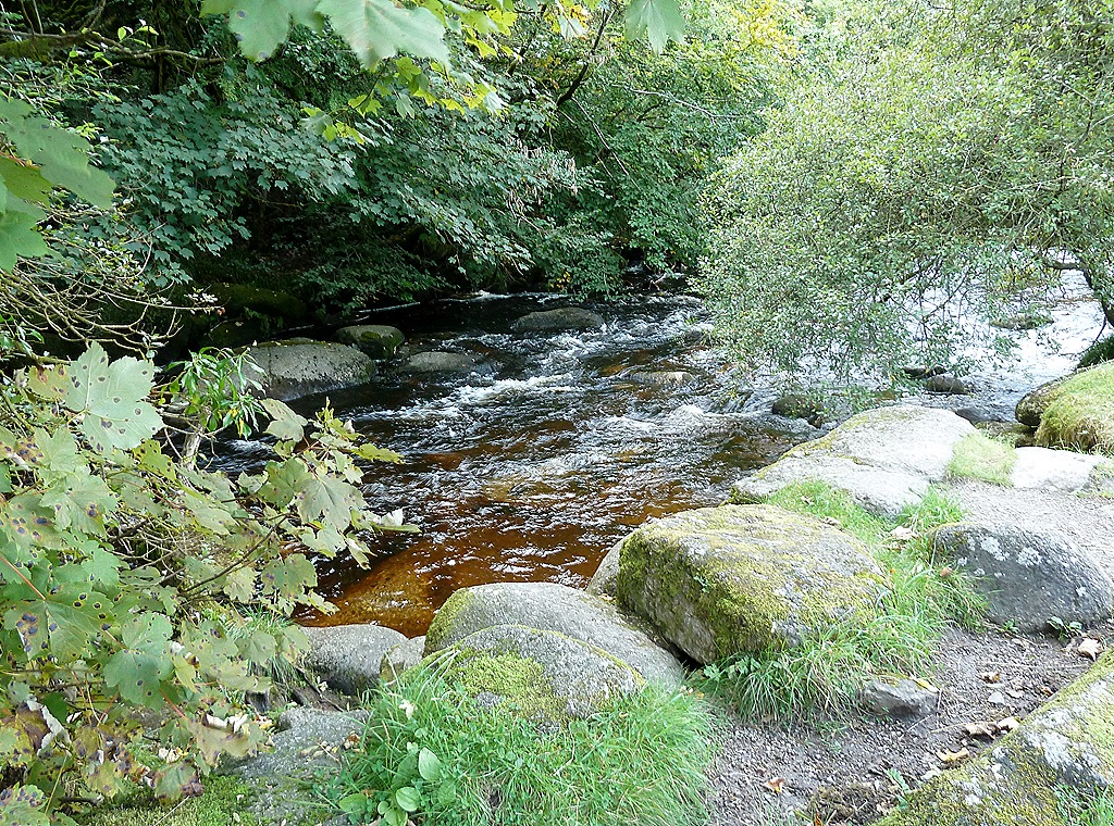 [dartmoor-0267.jpg]
