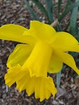 DSC03134.JPG