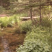 View album