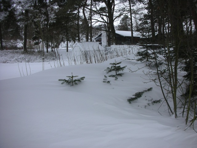 [januar%2520sne%25202010%2520023%255B4%255D.jpg]