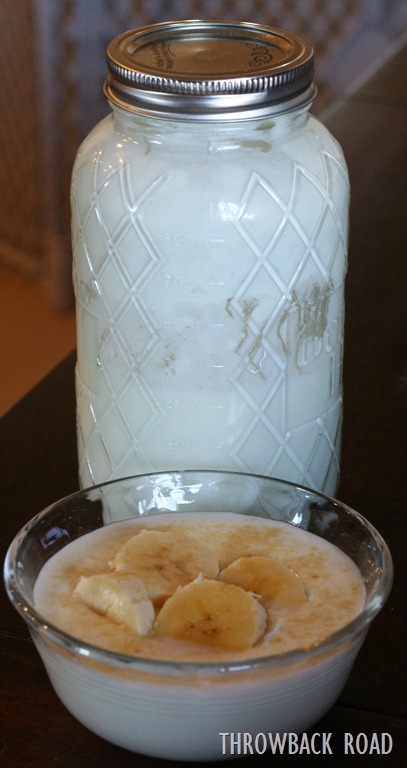 [yogurt-self-port-02410.jpg]