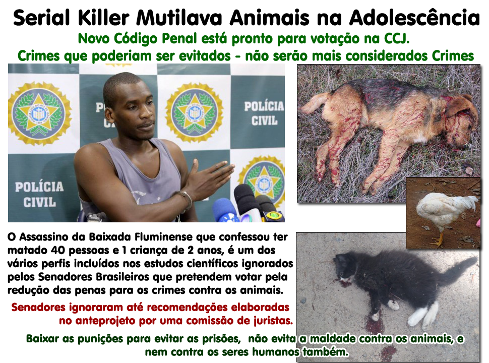 [serial_killer_animais%255B3%255D.png]