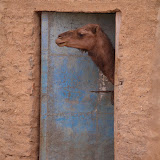 Morocco - Knock%252520Knock.JPG