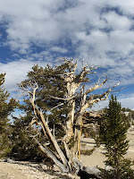 HPIM2426.JPG Photo