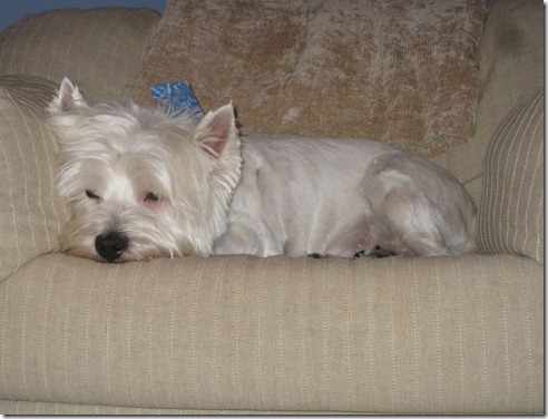 2012.03.25 Haircu (2)