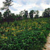 AndersonCreekHuntingHabitat AndersonCreekHuntingHabitat