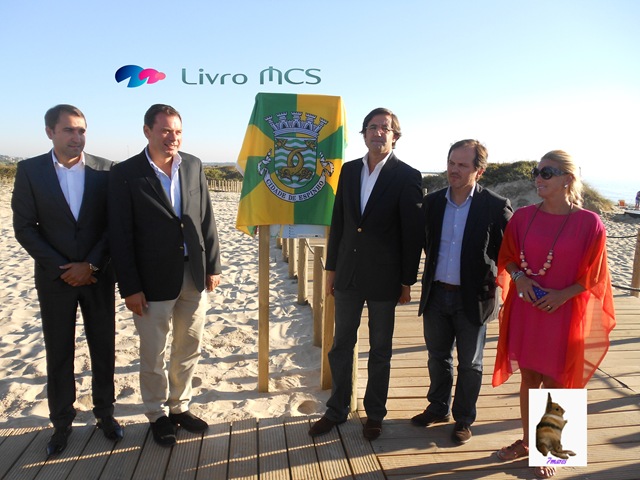 [O%2520desenvolvimento%2520das%2520Ruas%2520de%2520Espinho004Gazeta%2520de%2520Espinho%255B2%255D.jpg]