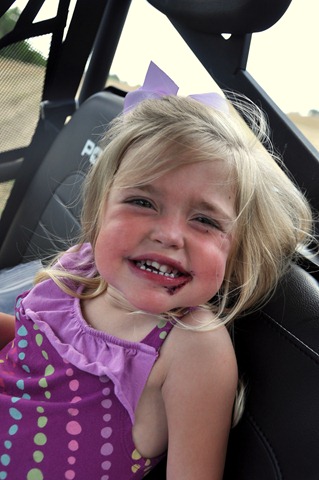 [blackberries%2520in%2520the%2520shade%2521%2520051412%2520%252811%2529%255B4%255D.jpg]