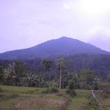 Pulosari from the Pandeglang road (Daniel Quinn, May 2010) Pulosari from the Pandeglang road (Daniel Quinn, May 2010)