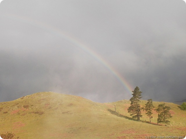 i can see a rainbow i can see a rainbow