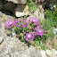 DSCN5736.JPG