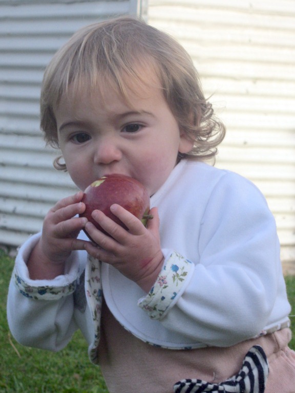 [IMG_4014%255B5%255D.jpg]