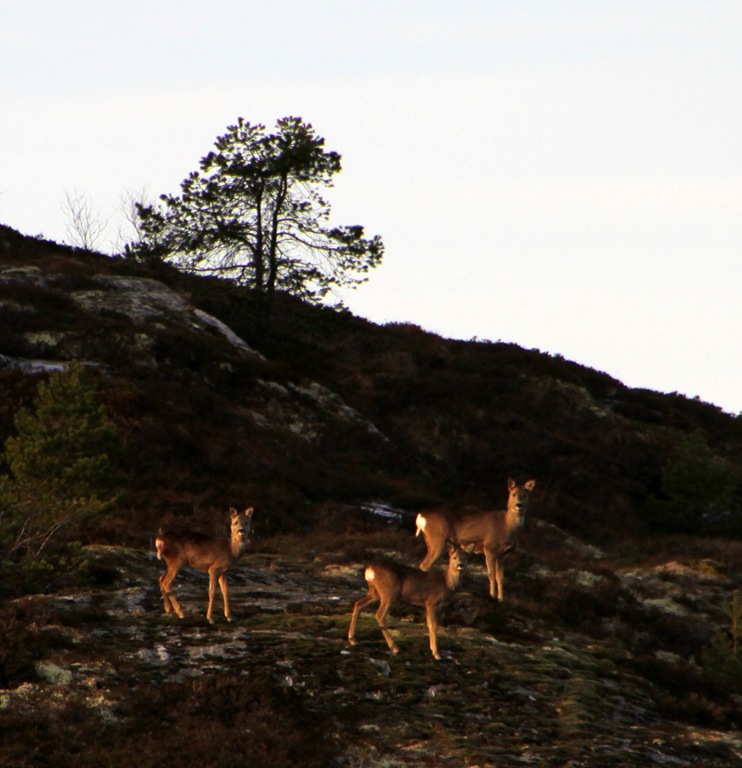 [IMG_7766%255B5%255D.jpg]