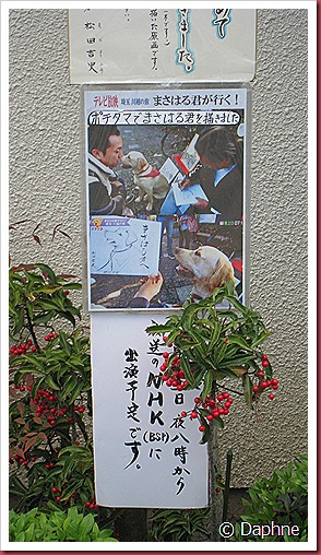 IMG_4117 IMG_4117
