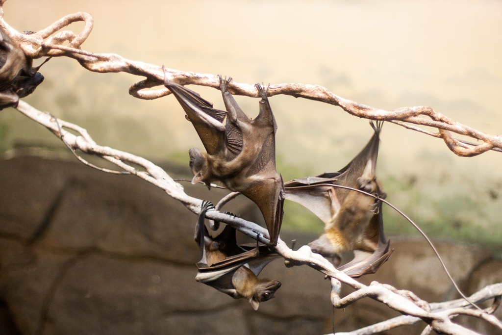 [20120716-IMG_6851-3%255B4%255D.jpg]