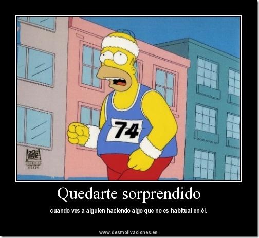homer (14) homer (14)