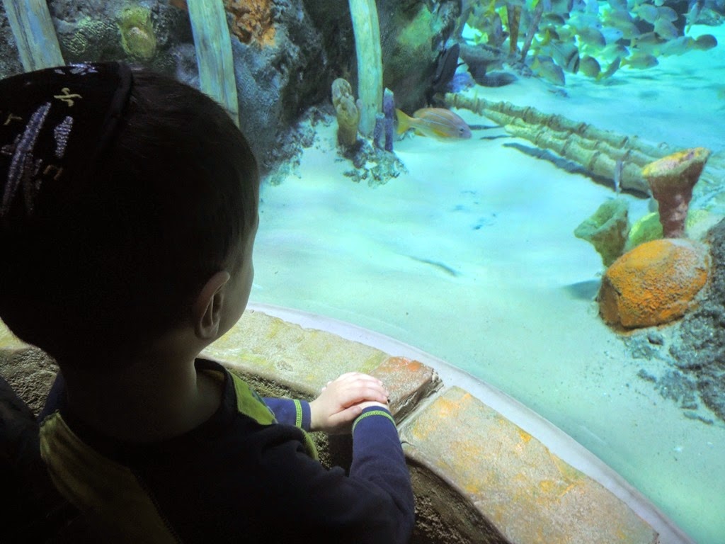 [DSCN1343%255B3%255D.jpg]