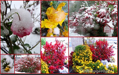 PA snow collage2