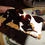 Luna Park Smores.JPG