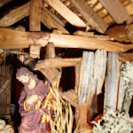 1513-16.JPG
