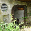 dsc00611.jpg