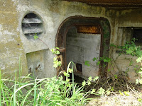 dsc00611.jpg