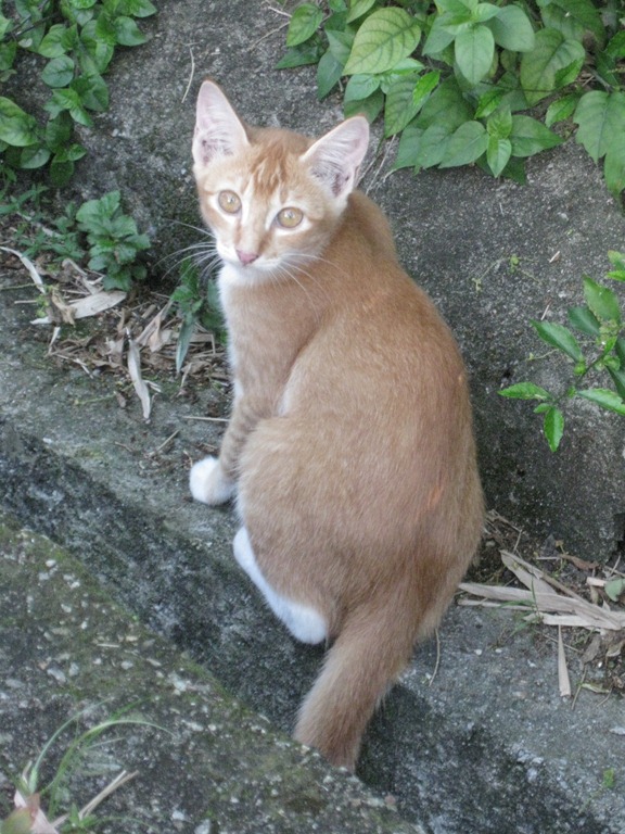 [IMG_6262%255B6%255D.jpg]