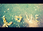 Odessa is my City. Slideshow