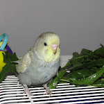 April 14-12 011.JPG