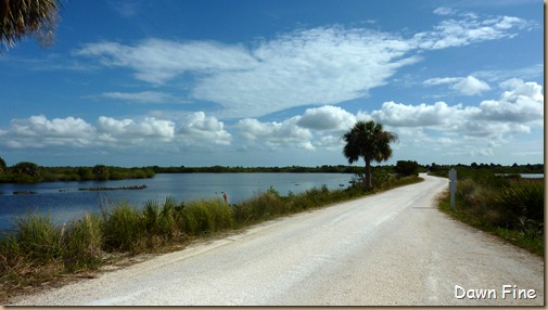 Merritt Island-black point drive_048