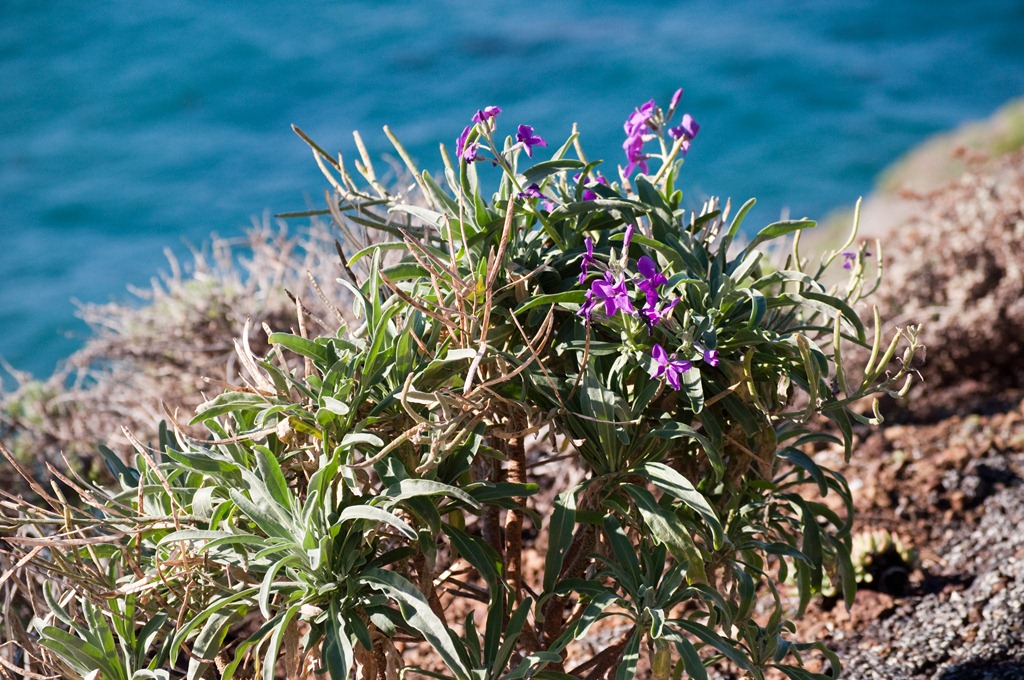 [DSC_3587_1%255B4%255D.jpg]
