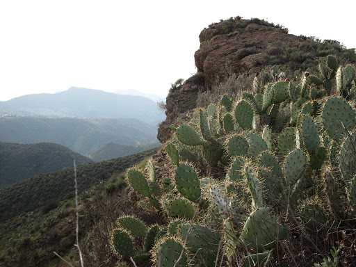 Click to view Simi Canyon