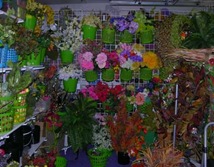 DSCN5576