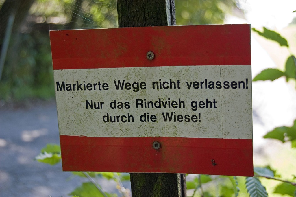 [DSC_74525.jpg]