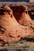The Wave, Coyote Buttes, Arizona
