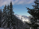 SANY0168.JPG
