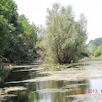DSCN8300.JPG
