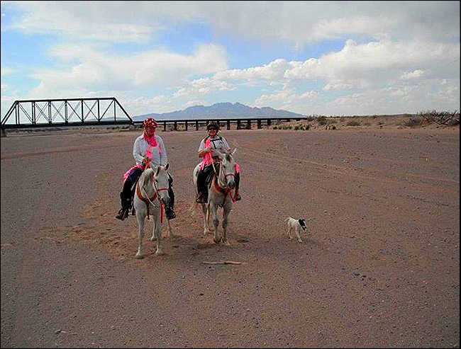 TrailMarking1