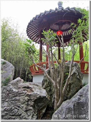 chinesegarden5