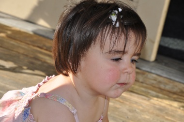 DSC_0337.jpg DSC 0337