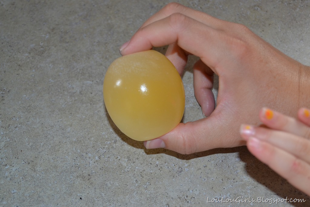 [Naked-Egg-Experiement%2520%25288%2529%255B8%255D.jpg]