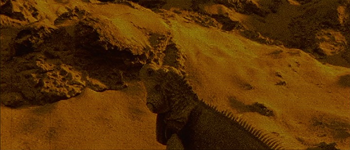 [Godzilla-1998-Iguana2.jpg]
