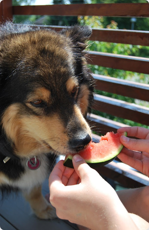 Bienna og vannmelon 006