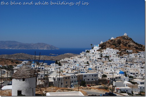 DSC_0975 DSC_0975