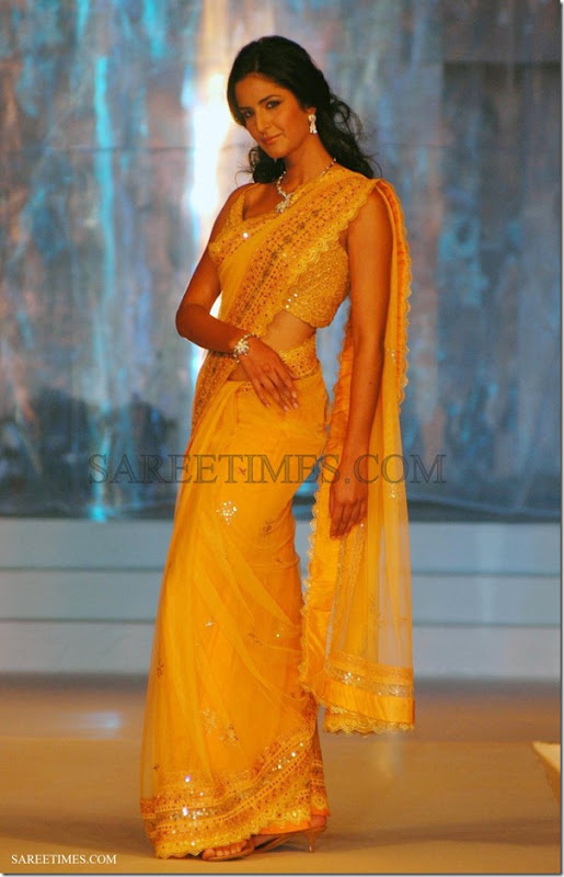 Katrina_Kaif_Saree