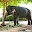 ELEFANT SRI LANKA