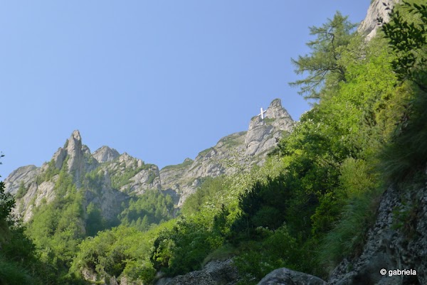 21.jpg 21.jpg