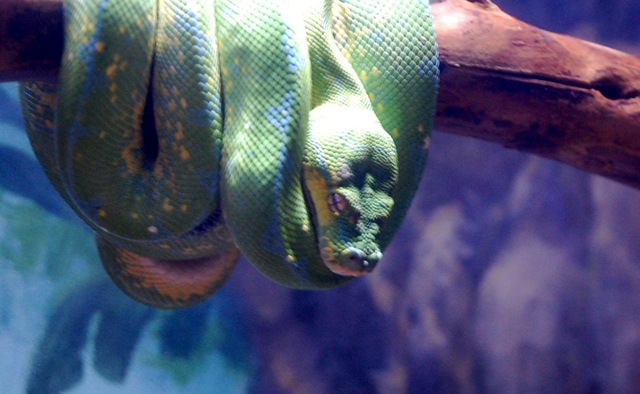 [aquarium33%255B2%255D.jpg]